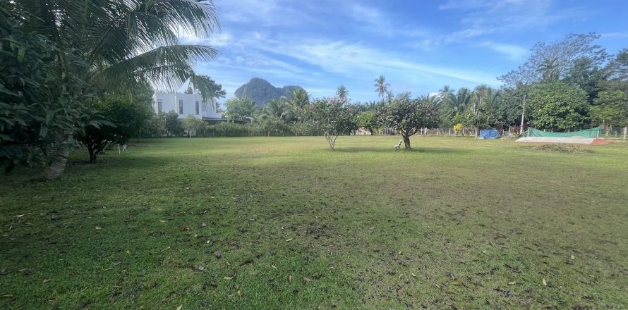Terrain à Krabi, Thaïlande 1600 m2 № 156441