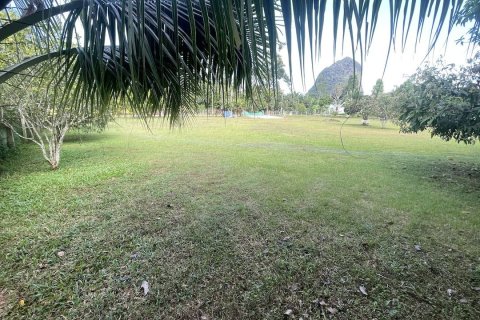 Terrain à Krabi, Thaïlande 1600 m2 № 156441 - photo 2