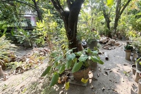 Land in Nonthaburi, Thailand 60 sq.m. № 156888 - photo 2