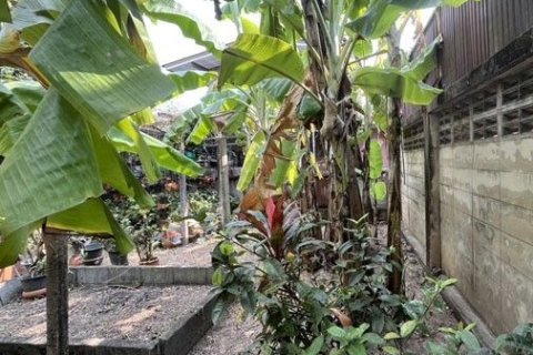 Land in Nonthaburi, Thailand 60 sq.m. № 156888