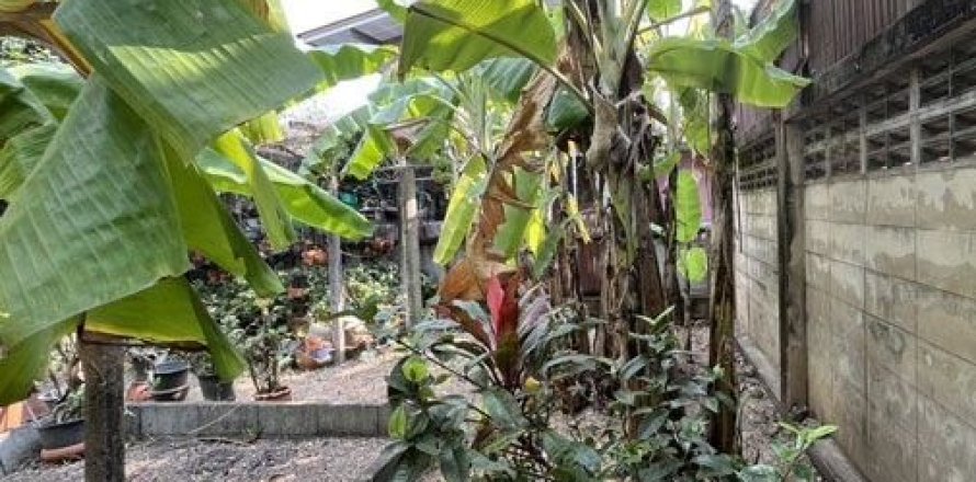 Land in Nonthaburi, Thailand 60 sq.m. № 156888