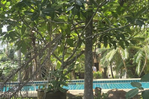 Land in Phuket, Thailand 3195.2 sq.m. № 169584 - photo 7