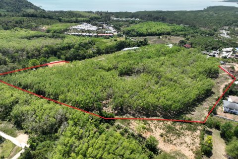 Land in Pa Klok, Thailand 81600 sq.m. № 170517 - photo 7