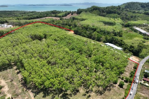 Land in Pa Klok, Thailand 81600 sq.m. № 170517 - photo 12