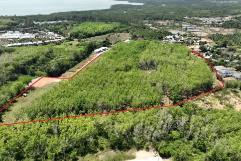 Land in Pa Klok, Thailand 81600 sq.m. № 170517 - photo 6