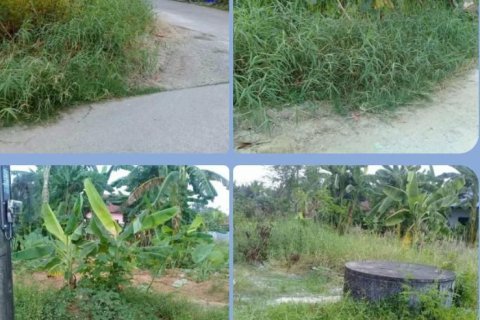 Земельный участок в Пхукете, Таиланд 352м2 № 154869 - фото 4