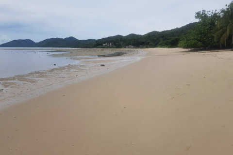 Land in Phang Nga, Thailand 21952 sq.m. № 154866 - photo 6