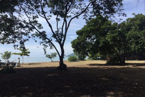 Land in Phang Nga, Thailand 21952 sq.m. № 154866 - photo 7