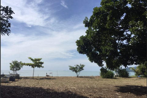 Land in Phang Nga, Thailand 21952 sq.m. № 154866 - photo 8