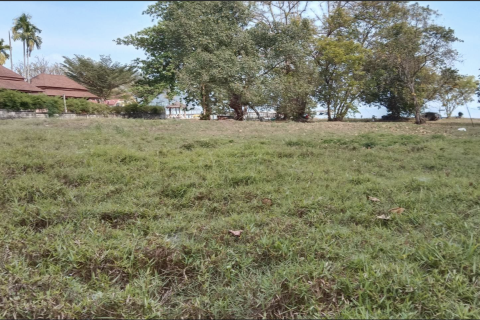 Land in Phang Nga, Thailand 21952 sq.m. № 154866 - photo 5