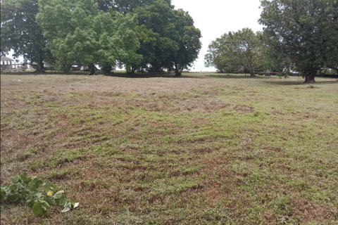 Land in Phang Nga, Thailand 21952 sq.m. № 154866 - photo 4