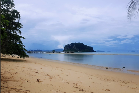 Land in Phang Nga, Thailand 21952 sq.m. № 154866 - photo 3