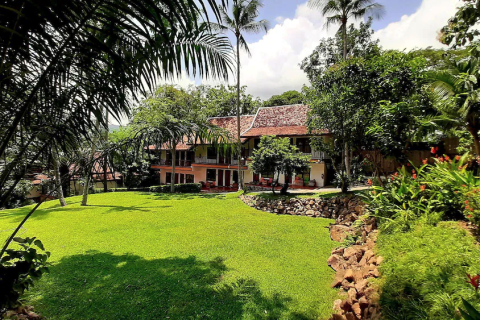 Hôtel à Ko Samui, Thaïlande № 156711 - photo 3