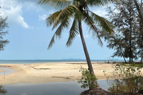 Studio in Ko Samui, Thailand № 175557