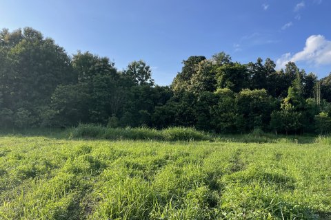 Land in Mae Rim, Thailand 16000 sq.m. № 135702 - photo 3