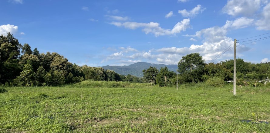 Land in Mae Rim, Thailand 16000 sq.m. № 135702