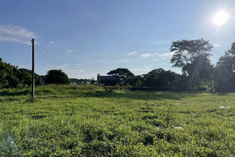 Land in Mae Rim, Thailand 16000 sq.m. № 135702 - photo 4