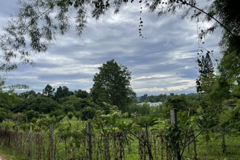 Land in Mae Rim, Thailand 16000 sq.m. № 135702 - photo 5