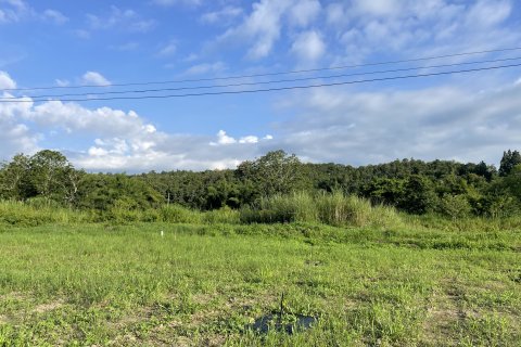 Land in Mae Rim, Thailand 16000 sq.m. № 135702 - photo 2