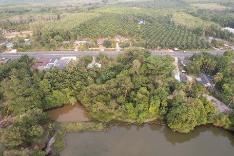 Land in Phang Nga, Thailand 1952 sq.m. № 169474 - photo 5