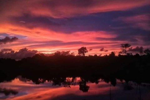 Land in Phang Nga, Thailand 1952 sq.m. № 169474 - photo 4