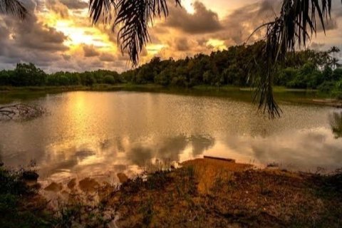 Land in Phang Nga, Thailand 1952 sq.m. № 169474 - photo 8