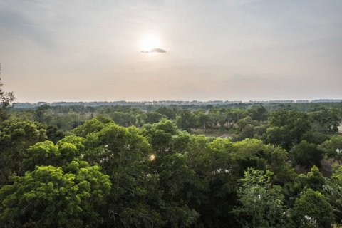 Land in Phang Nga, Thailand 1952 sq.m. № 169474 - photo 6