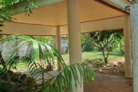 House in Taphan Hin, Thailand 3 bedrooms № 169473 - photo 5