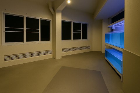 Penthouse in Watthana, Bangkok, Thailand 3 bedrooms № 161125 - photo 5