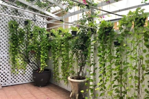 House in Bangkok, Thailand 4 bedrooms № 157524 - photo 19