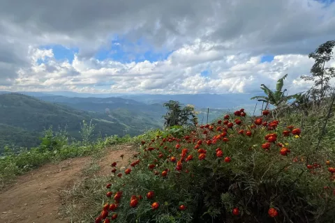 Villa à Nan, Thaïlande 4 chambres № 141488 - photo 7