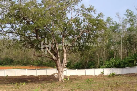 Land in Rawai, Thailand № 146642