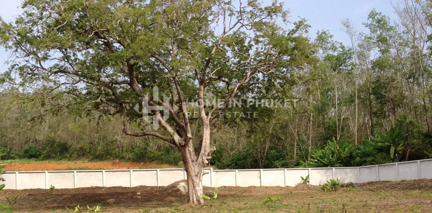 ที่ดินในราไวย์, ประเทศไทย № 146642