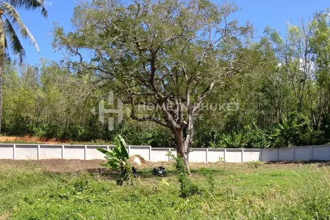 Земельный участок в Раваи, Таиланд № 146642 - фото 1