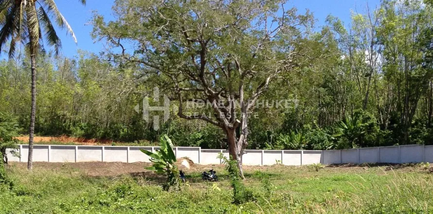 Земельный участок в Раваи, Таиланд № 146642