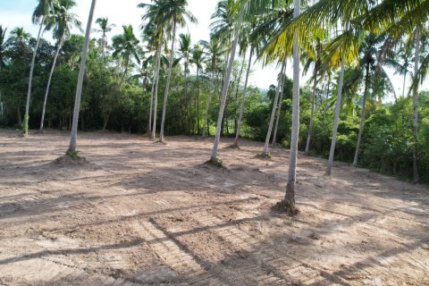 Land in Ko Samui, Thailand 2128 sq.m. № 151452 - photo 11