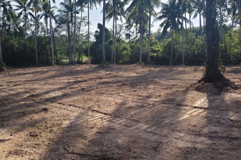 Land in Ko Samui, Thailand 2128 sq.m. № 151452 - photo 5