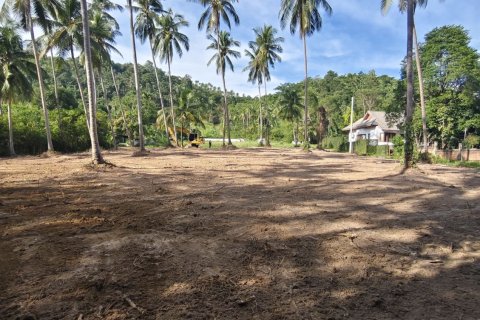 Land in Ko Samui, Thailand 2128 sq.m. № 151452 - photo 4