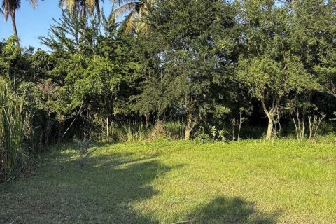 Terrain à Ban Pong, Thaïlande 11200 m2 № 151451 - photo 21