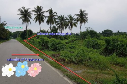 Земельный участок в Пан-понге, Таиланд 11200м2  № 151451 - фото 9