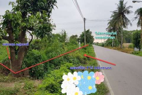 Земельный участок в Пан-понге, Таиланд 11200м2  № 151451 - фото 7