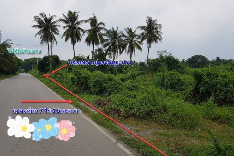 Земельный участок в Пан-понге, Таиланд 11200м2  № 151451 - фото 4