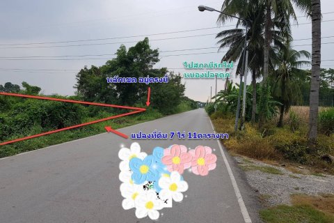 Земельный участок в Пан-понге, Таиланд 11200м2  № 151451 - фото 6