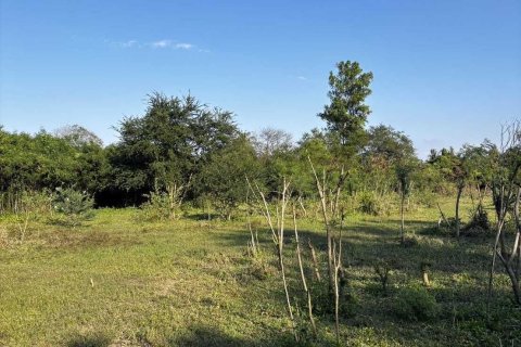 Terrain à Ban Pong, Thaïlande 11200 m2 № 151451 - photo 19