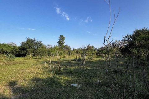 Terrain à Ban Pong, Thaïlande 11200 m2 № 151451 - photo 16