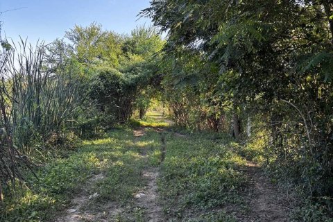 Terrain à Ban Pong, Thaïlande 11200 m2 № 151451 - photo 17