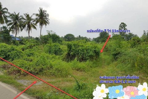 Земельный участок в Пан-понге, Таиланд 11200м2  № 151451 - фото 3