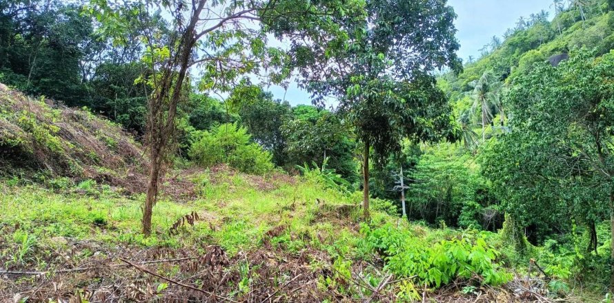 Land in Ko Samui, Thailand 1284 sq.m. № 151447