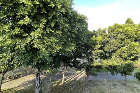 Таунхаус в Бангкапи, Бангкок, Таиланд с 3 спальнями  № 148818 - фото 12