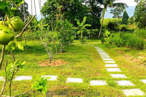 Land in Ko Samui, Thailand 7360 sq.m. № 180203 - photo 7